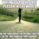 optimal-taxation